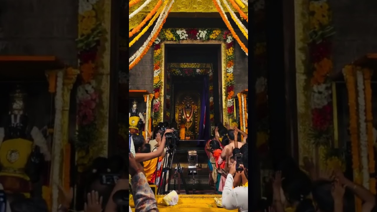 Vaikuntha Ekadashi Sri Venkateshwara swamy darshanam&hearts;️