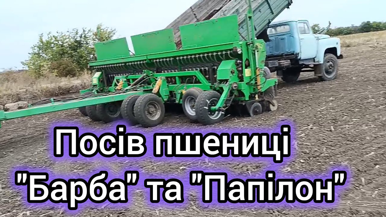 13.09.26. Посів пшениці ''Папілон'' та ''Барба'' від ''Viterra seed ''.