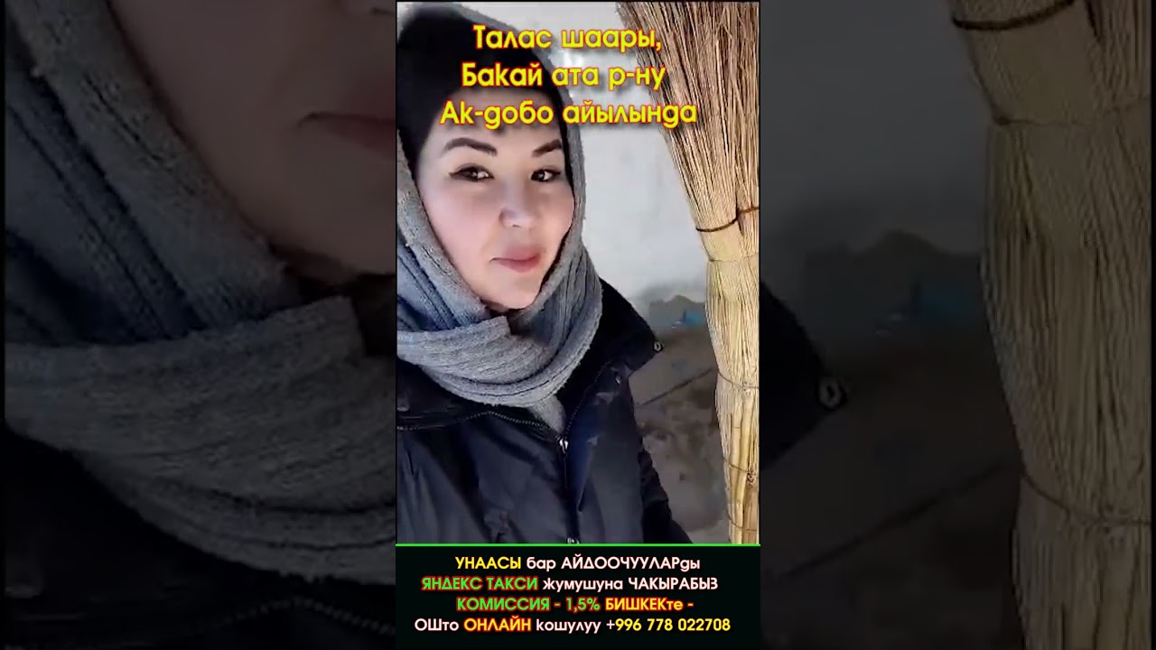 Айылдын АЯЛДАМАСЫН балдары МЕНЕН мусордон ТАЗАЛАП ичин ШЫПЫРЫП жаш БАЛАДАЙ сүйүнгөн ТАЛАСТЫК КЕЛИН