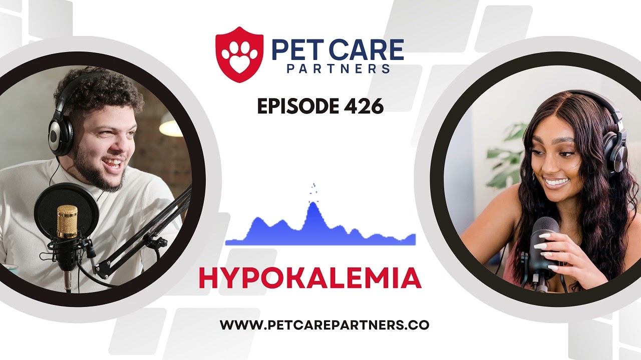 EP 426: Hypokalemia in Dogs & Cats – Diagnosis, Causes & Critical Care | Pet Care Partners Podcast