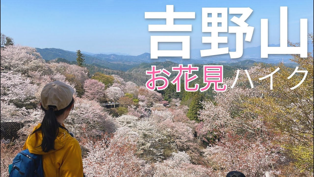 【夫婦登山】奈良 | 吉野山 お花見ハイキング | 想像以上の大混雑！！