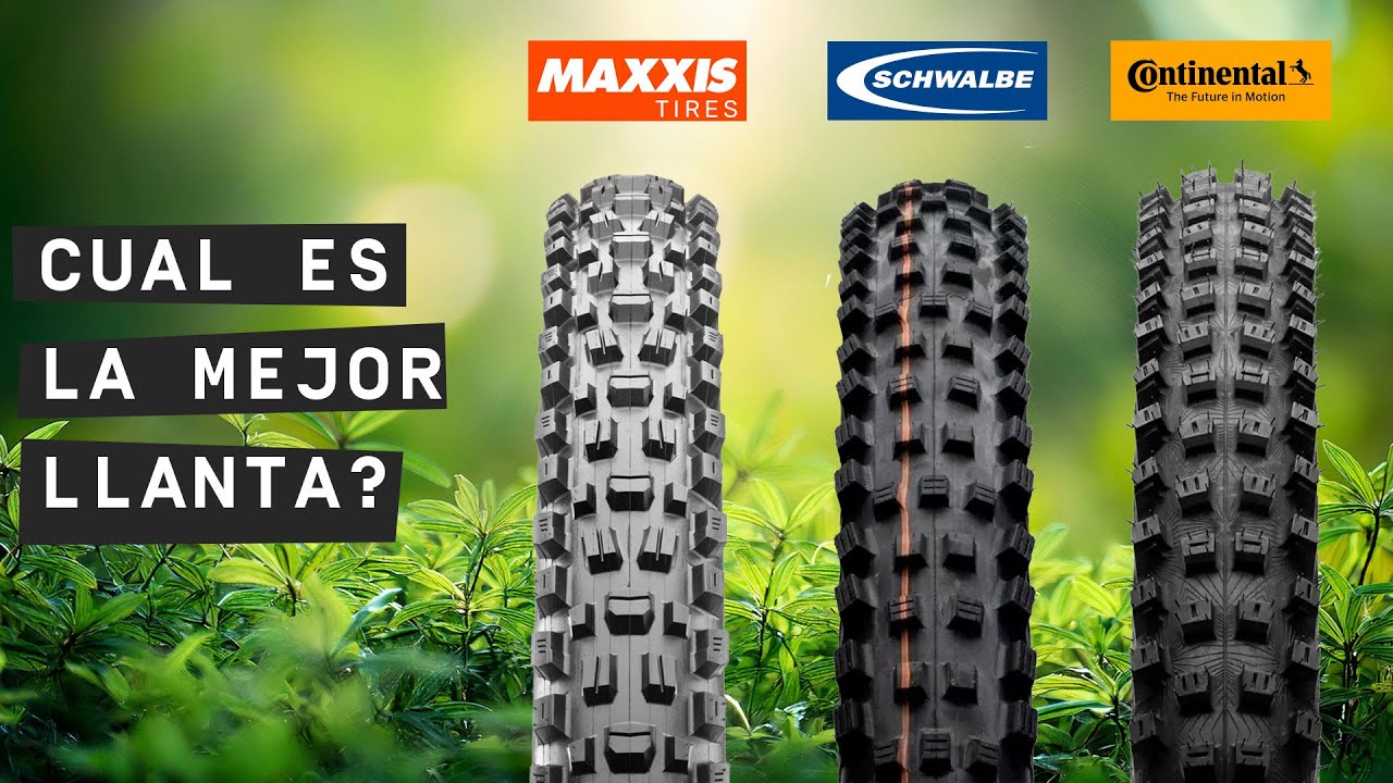 ¿Cuál es la MEJOR llanta para MTB? Schwalbe Magic Mary vs Continental Argotal