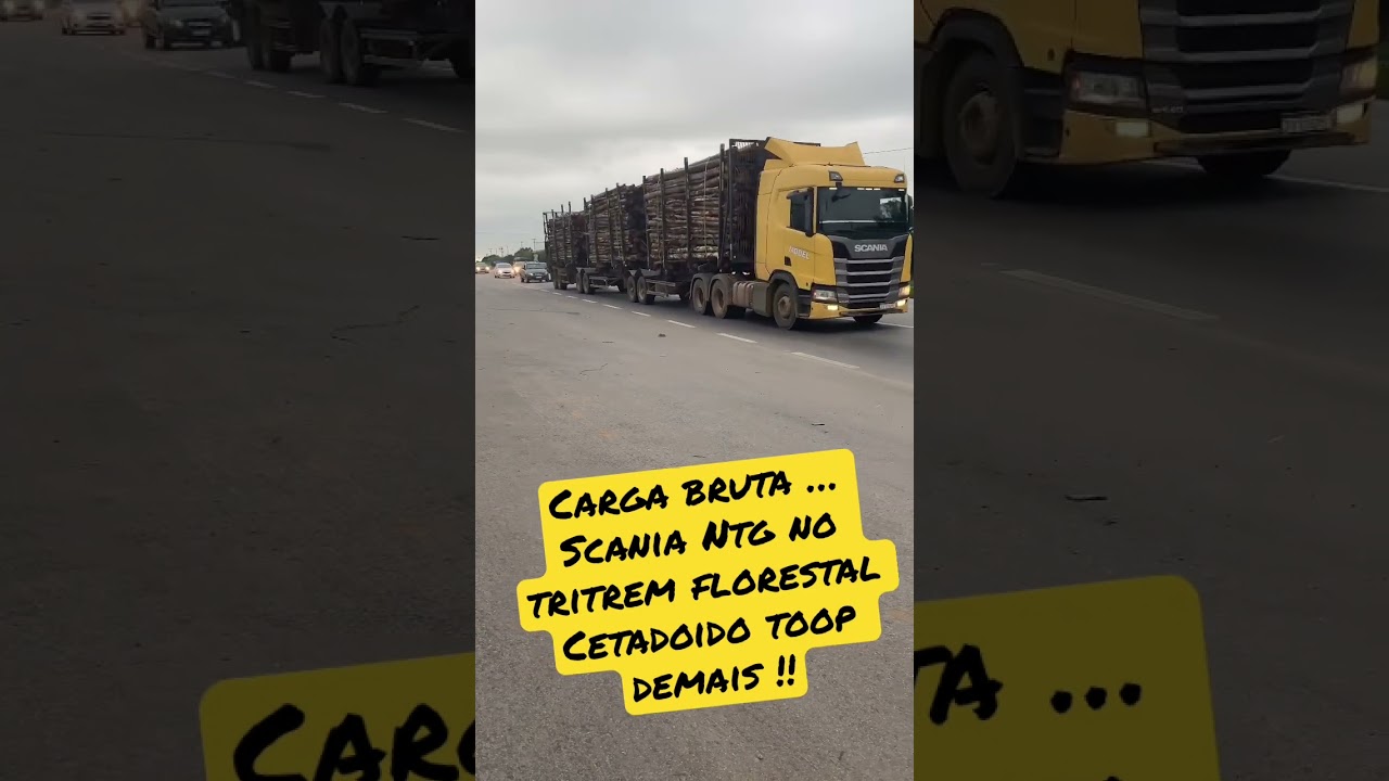 Carga bruta , Scania Ntg no florestal tritrem !!! Toop demais brabo
