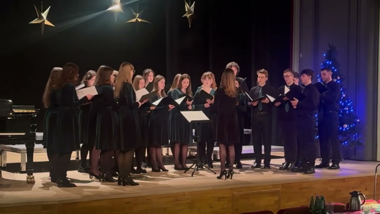 Mizerna cicha (opr. Ewa Borcz)