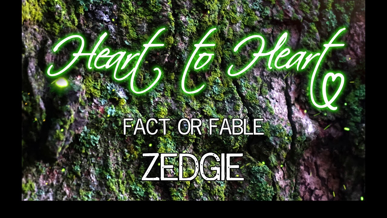 Zedgie - Fact or Fable - LYRICS