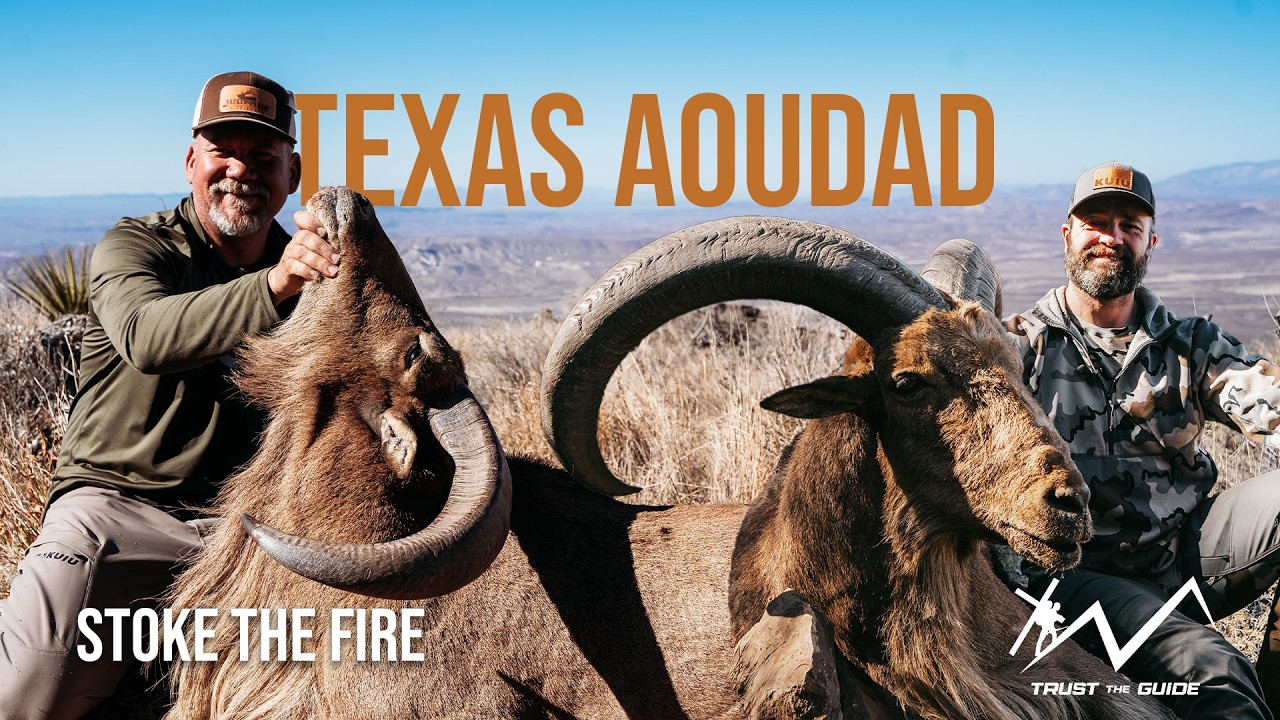 Texas Aoudad Hunting Adventure | Stoke The Fire, A Trust The Guide film