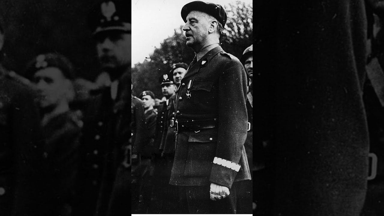 Polacy w czasie bitwy o Narwik #shorts