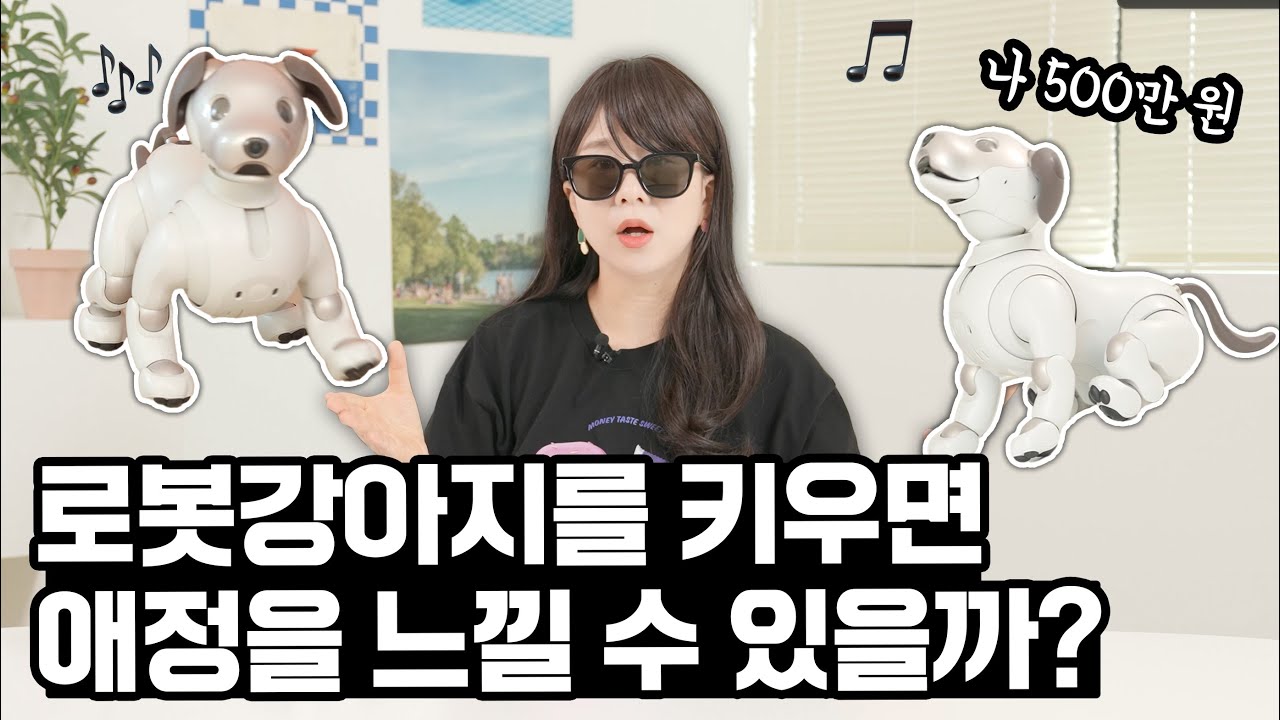 아이맥보다 비싼 500만짜리 로봇강아지를 키워봤는데,,, 진짜 강아지 같아서 소름ㅠㅠ