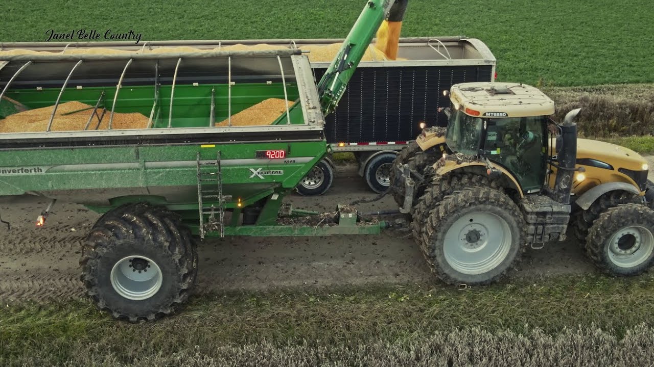 Unloading Corn in #centralontariocanada - November 2025