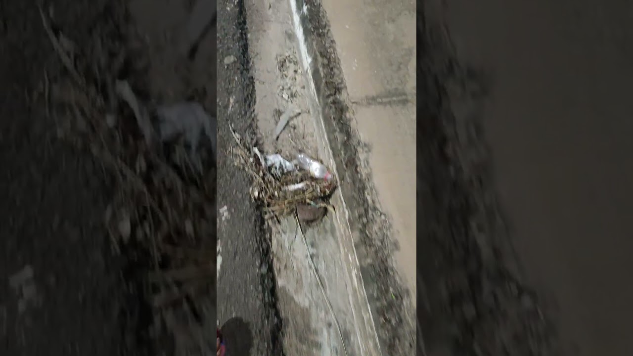 Que interessante....lembrei da infância...kkk...