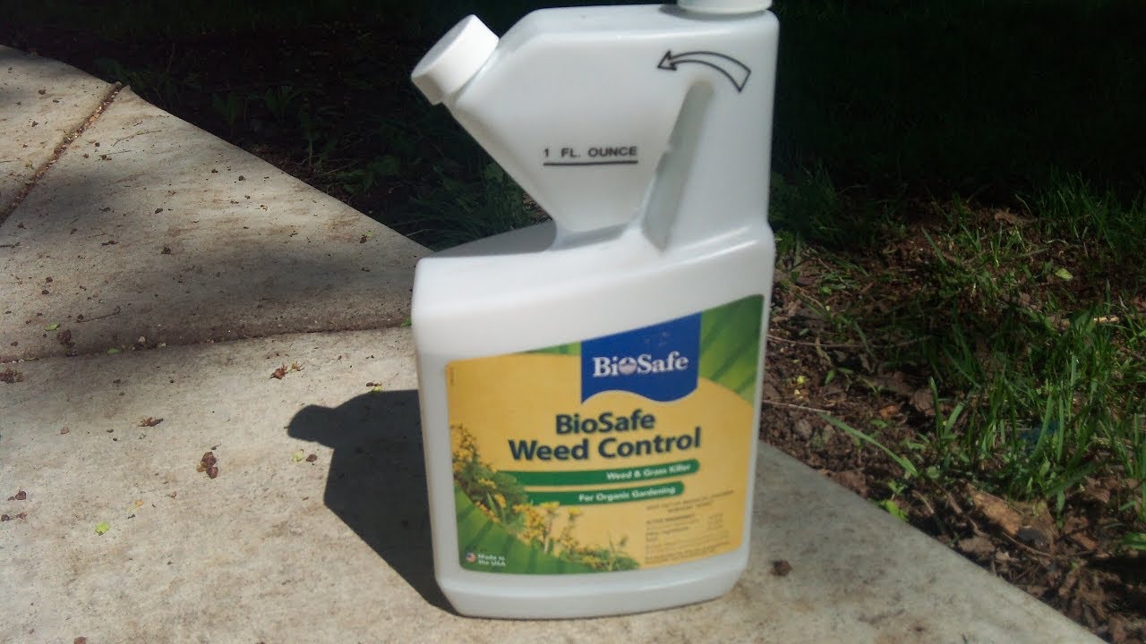 What is BioSafe and does it work  - Garden tip