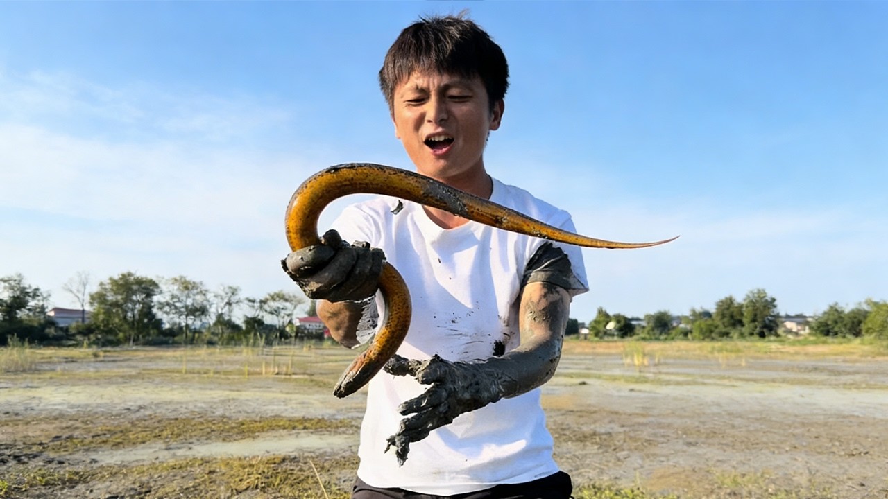 這穩賺不賠的買賣過癮，鱔魚確實大一條就差不多一斤#熱門 #fishing