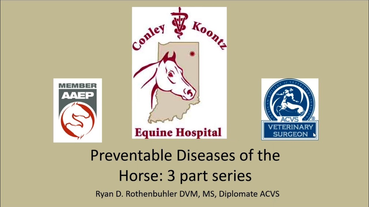 Lunch and Learn: Vaccine Preventable Healthcare in the Horse- Part 1  Mosquito-borne viruses