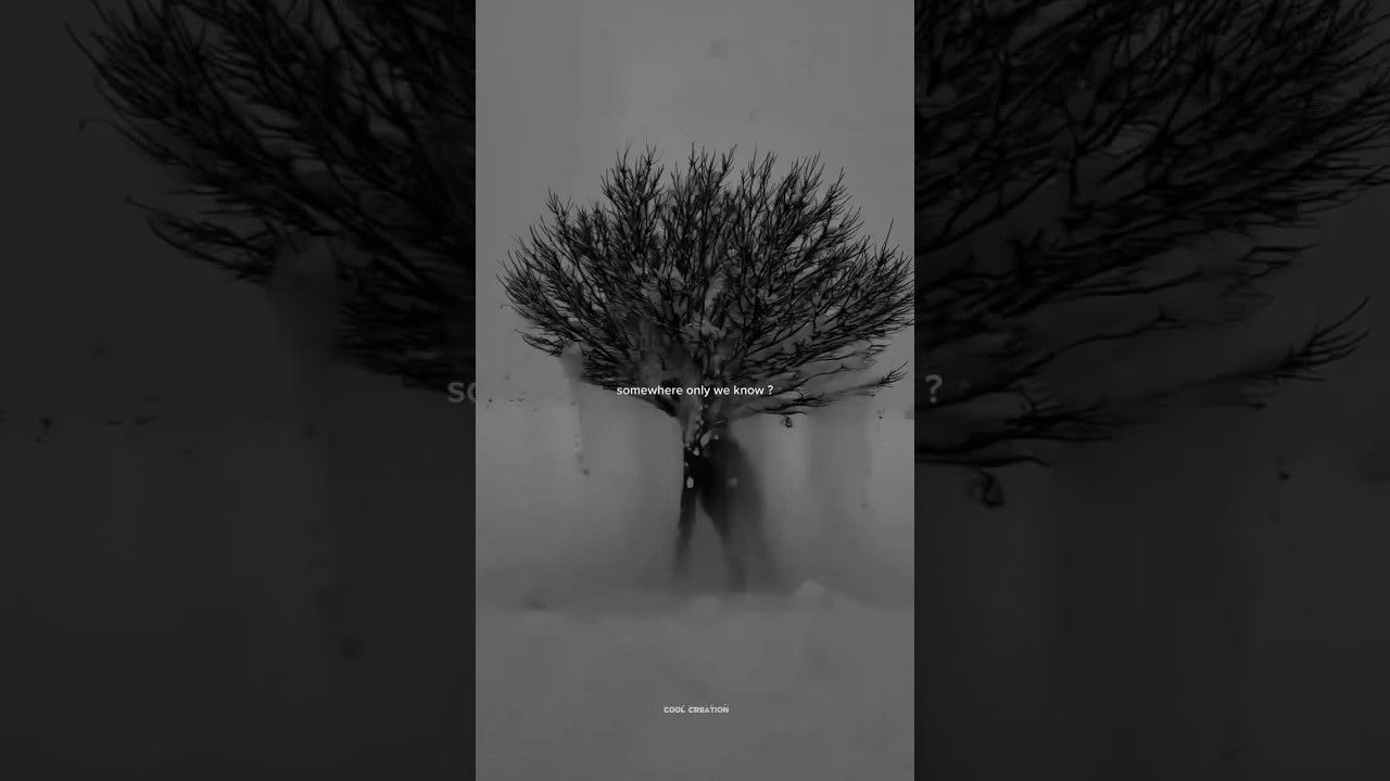 Keane - Somewhere Only We Know | And if you have a minute, why don't we go | Aesthetic 