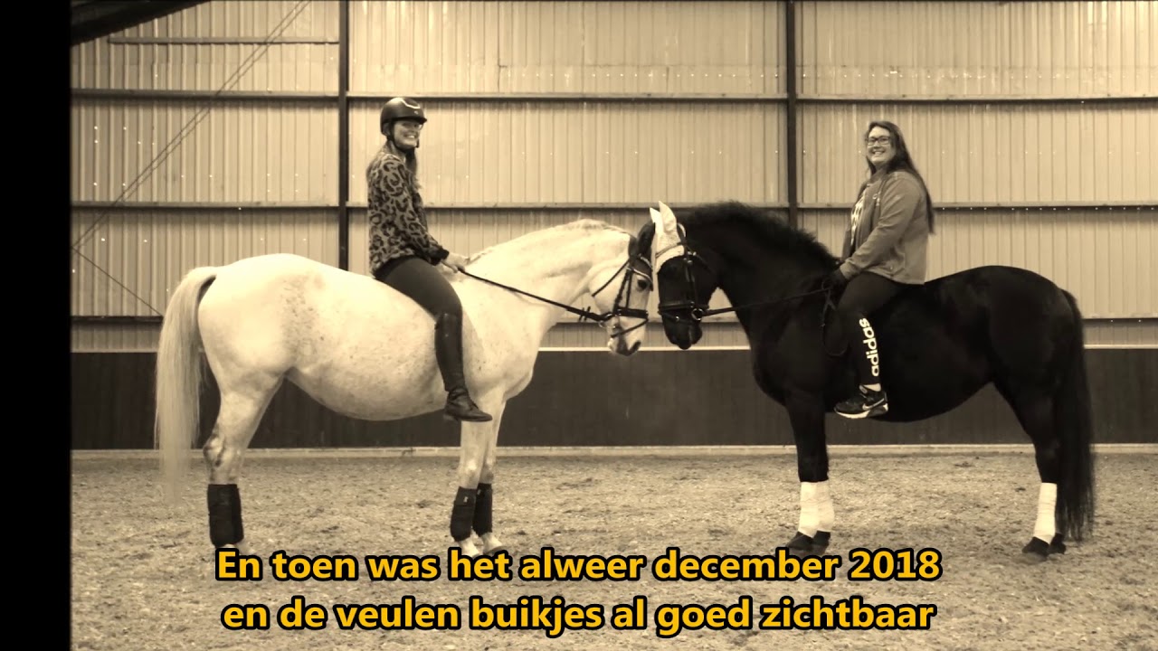 flim van kroel en djesmo 2018