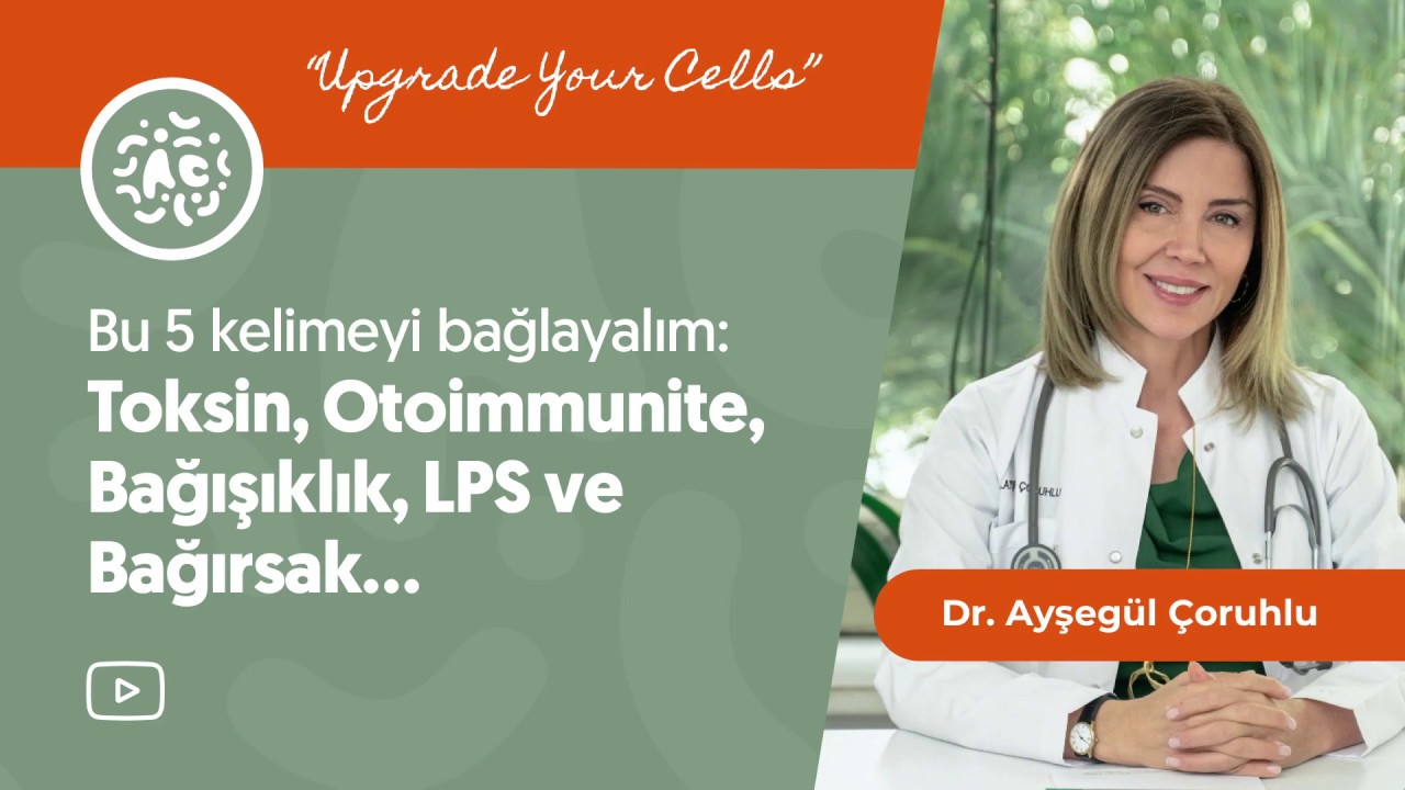Bu 5 kelimeyi bağlayalım: Toksin, Oto-immunite, Bağışıklık, LPS ve Bağırsak…