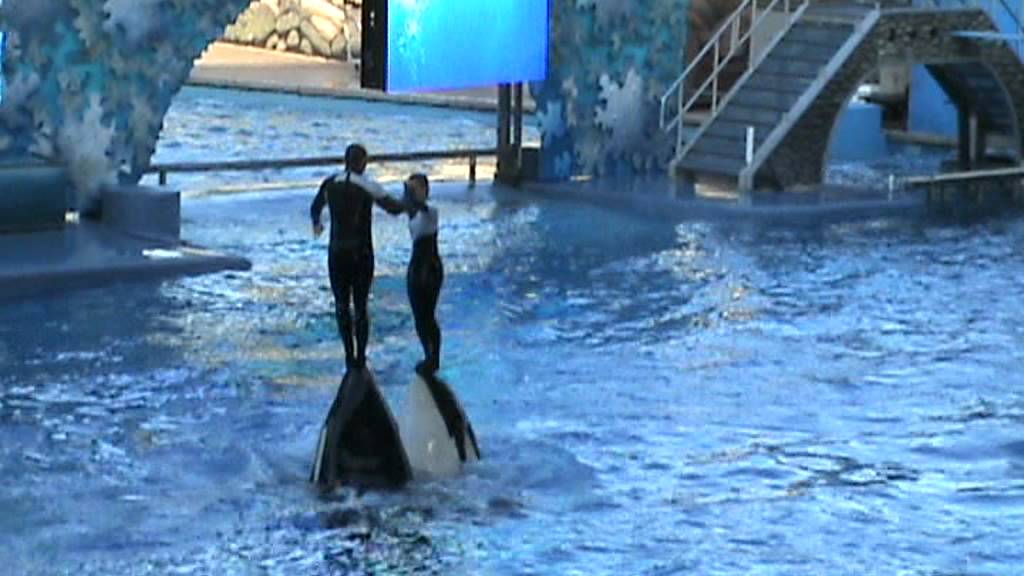BELIEVE! - Seaworld (2008)