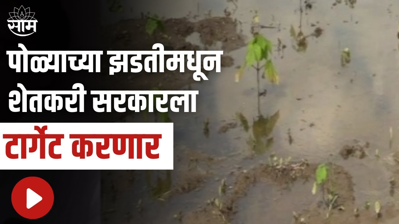 Yavatmal | पोळ्याच्या झडती मधून शेतकरी सरकारला टार्गेट करणार