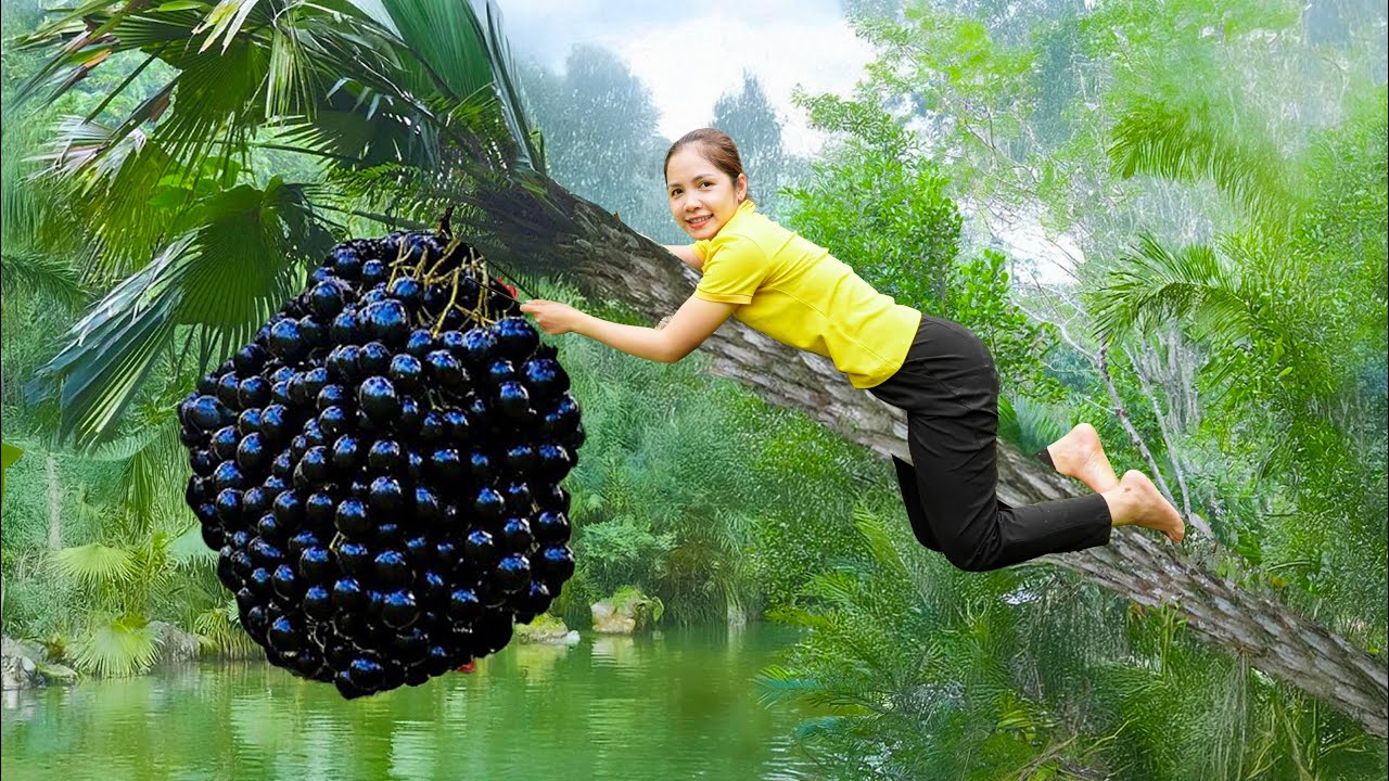 The Poor Girl Harvesting King Red Pumpkin & Goes to Market Sell | Ly Tieu Kha | Linh-Free Bushcraft