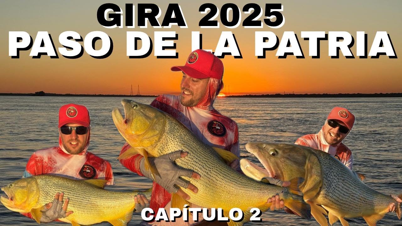 PESCA DE DORADOS GIGANTES 🔥 SE NOS FUE LA BESTIA 😱 ESTE LUGAR NO FALLA 🎣 MUCHO PIQUE