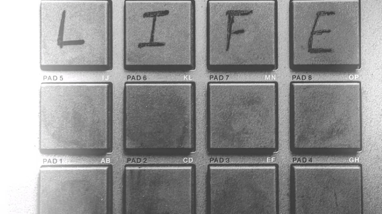‘Life’ Instrumental by Steve Bradfield