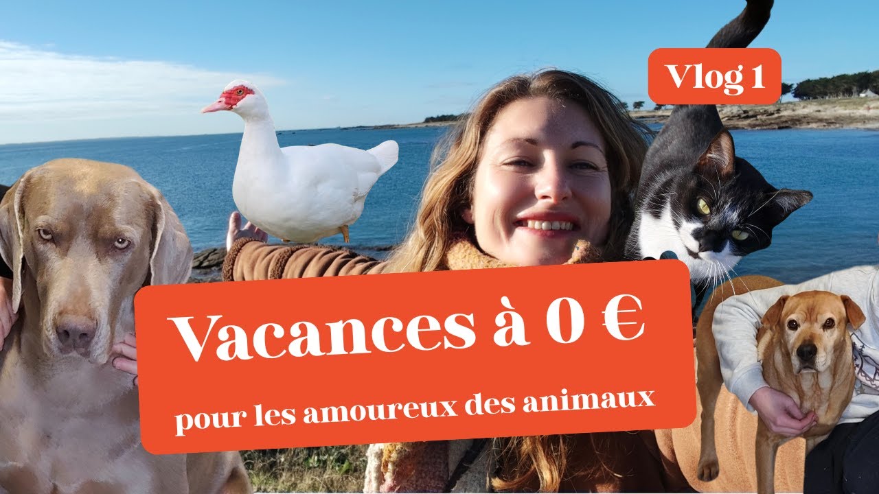 Comment voyager en famille pour 0€ : nos vacances inoubliables en home sitting/Vlog #voyagergratuit