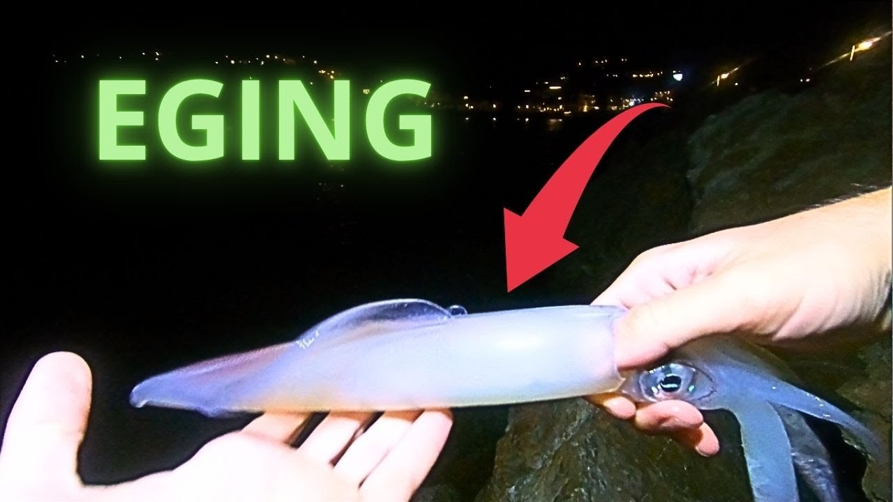 ¡Los 3 pescamos CALAMARES! Increíble jornada de EGING llena de acción