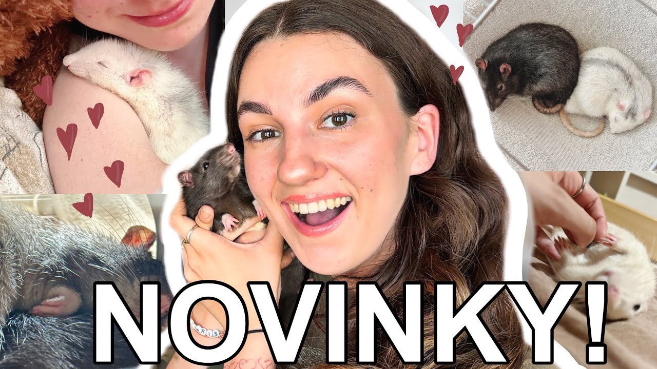 UPDATE: Co se u nás dělo?
