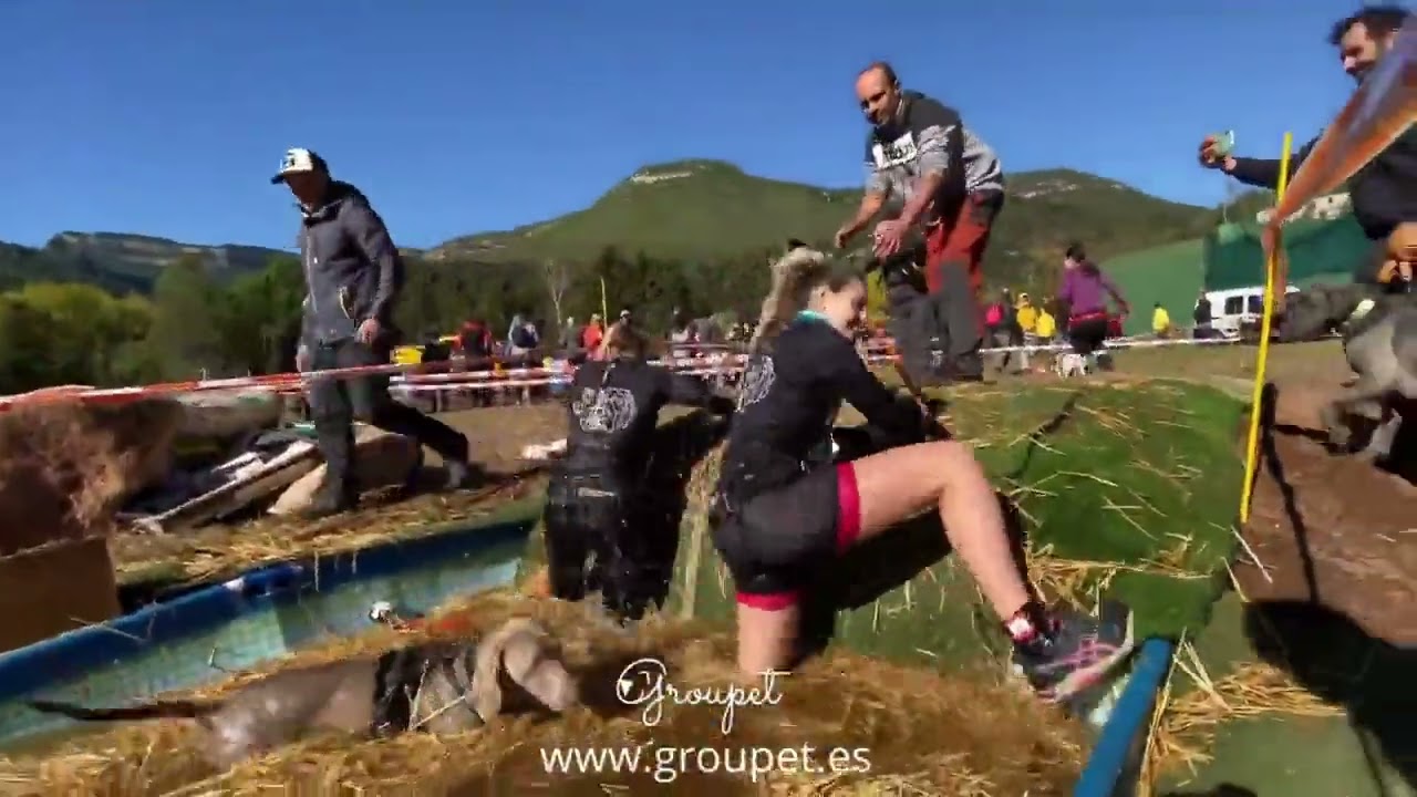 DOGSTACLE El Figar&oacute; 2021