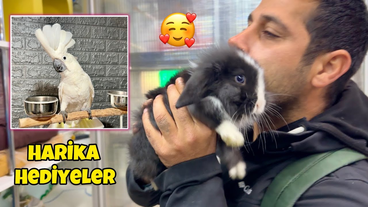 @kuşcuabiyeni34   Murat Kardeşimden harika Hediyeler 🦜😇 Eren Acilin Yeni Tavşanı 🐰Balıkesire Dönüş