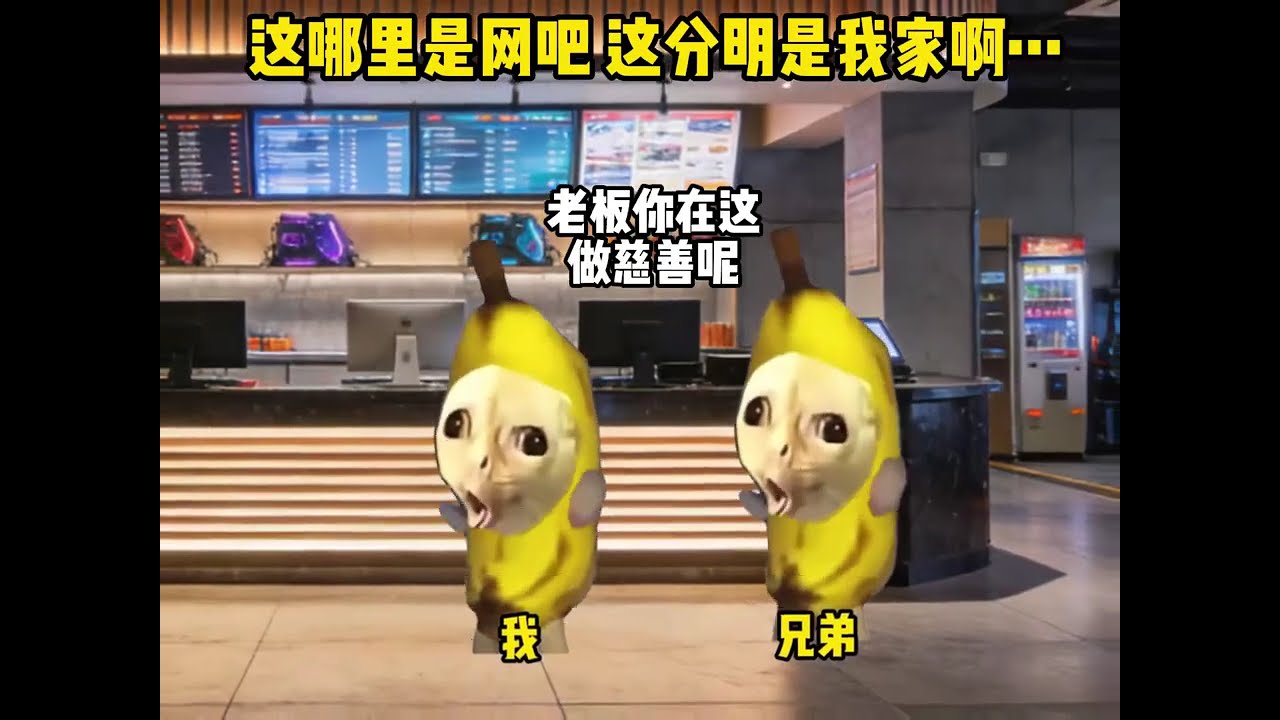 猫meme的日常- 这哪里是网吧啊 这分明是我的家啊！！！