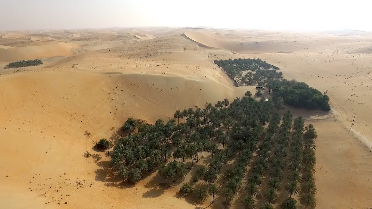 أغنية عشب بينونة