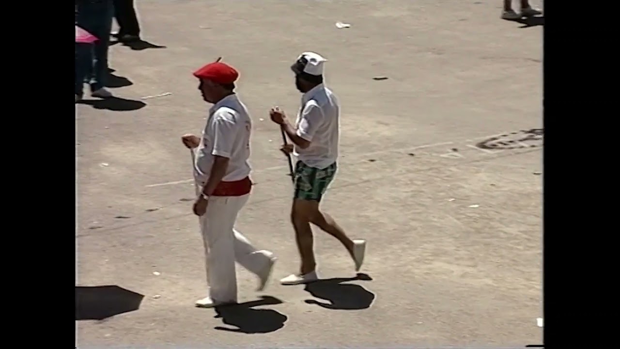 Espantes en Guarrate y Fuentesauco (Zamora), 1991