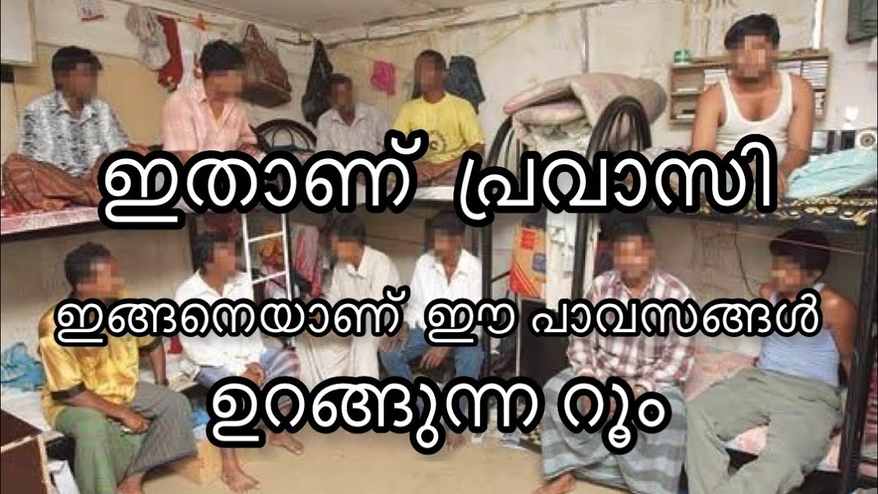 നാട്ടിൽ കോടികളുടെ വീടുള്ളവർ ഗൾഫിൽ ഉറങ്ങുന്നത് കാണണോ. ഇതാണ് പ്രവാസി. പ്രവാസ ജീവിതവും.