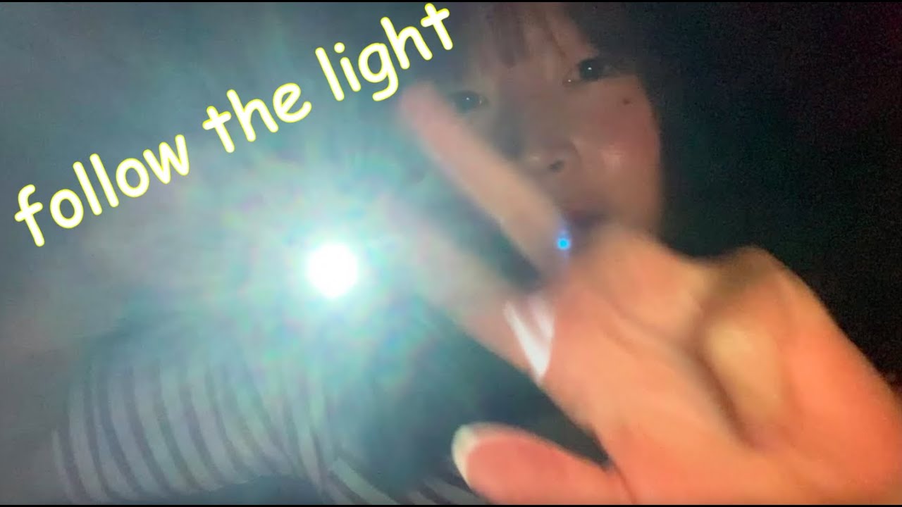 ライトを目で追ってね ASMR💡
