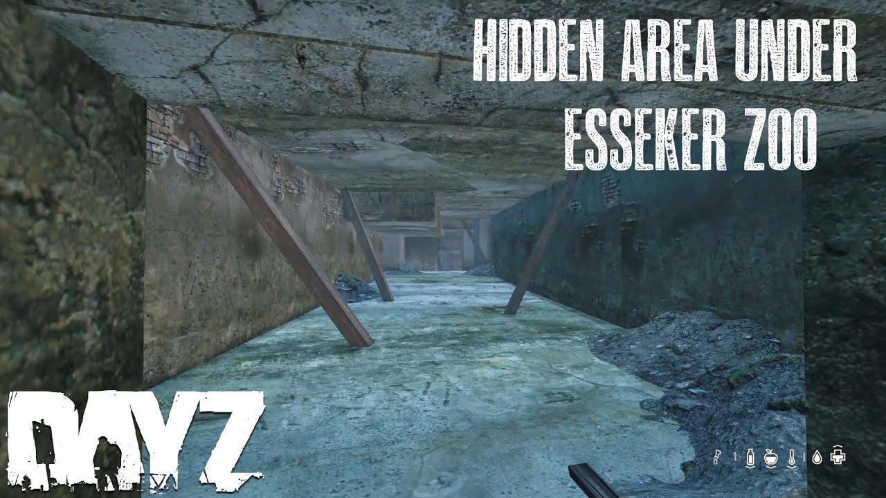 We Found A Hidden Area Under Esseker City Zoo! LUV U DayZ