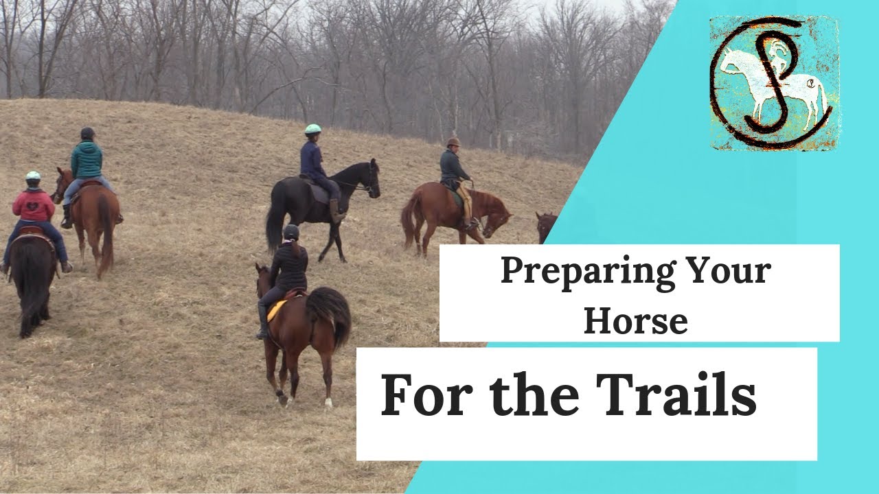 Easy Trail Tips... Skills To Help You On The Trails!