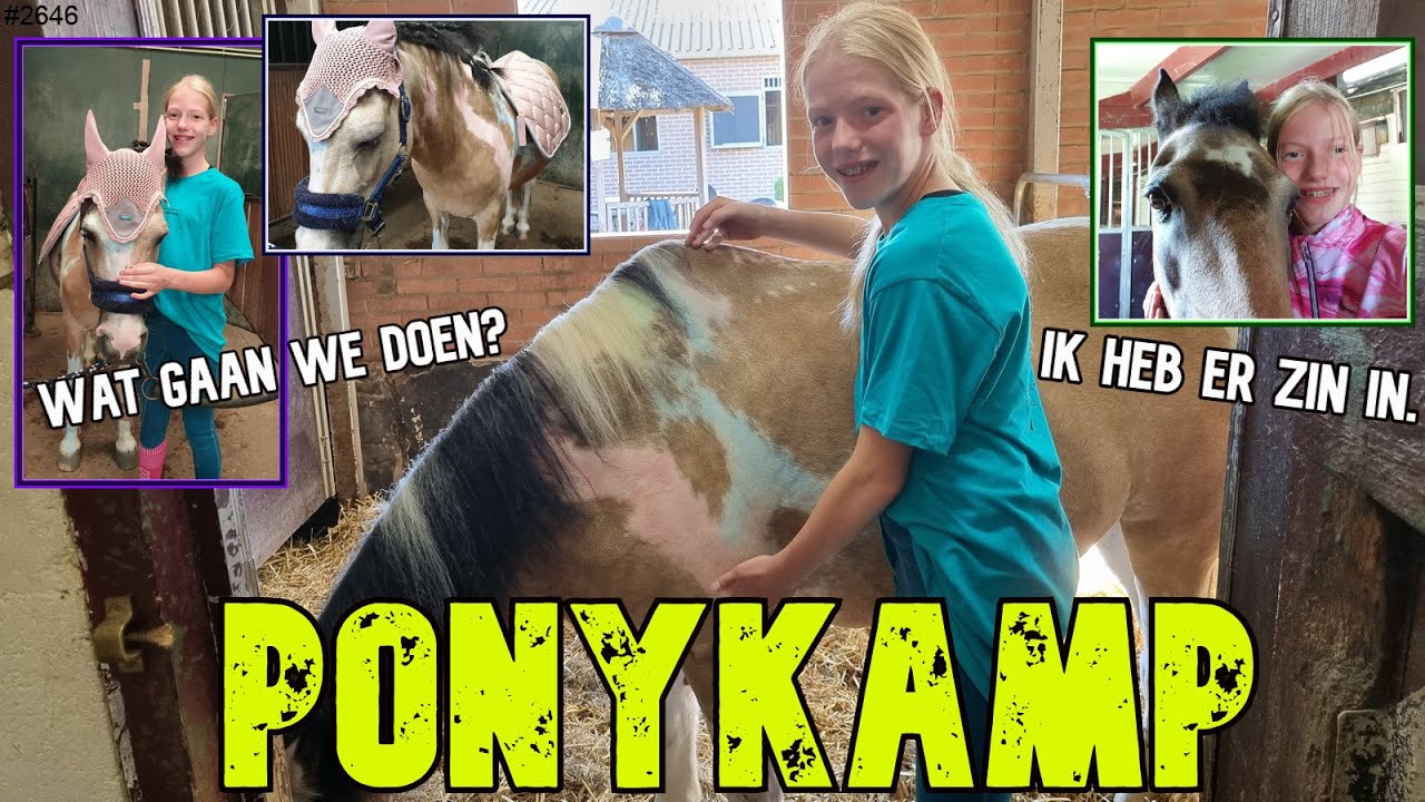 PONYKAMP 2022. Gaan we BUITENRIJDEN, PIMP YOUR PONY of SPRINGEN? Super veel ZIN in.  #PonyKamp #2646