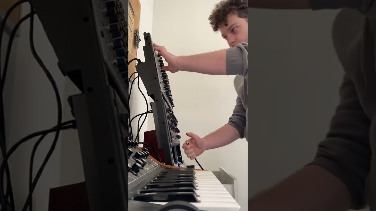 Cheapest synth I own