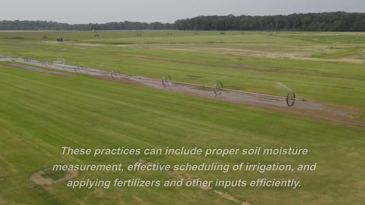 Building Sustainable Agriculture with Drip Irrigation Kits and Ecogrid