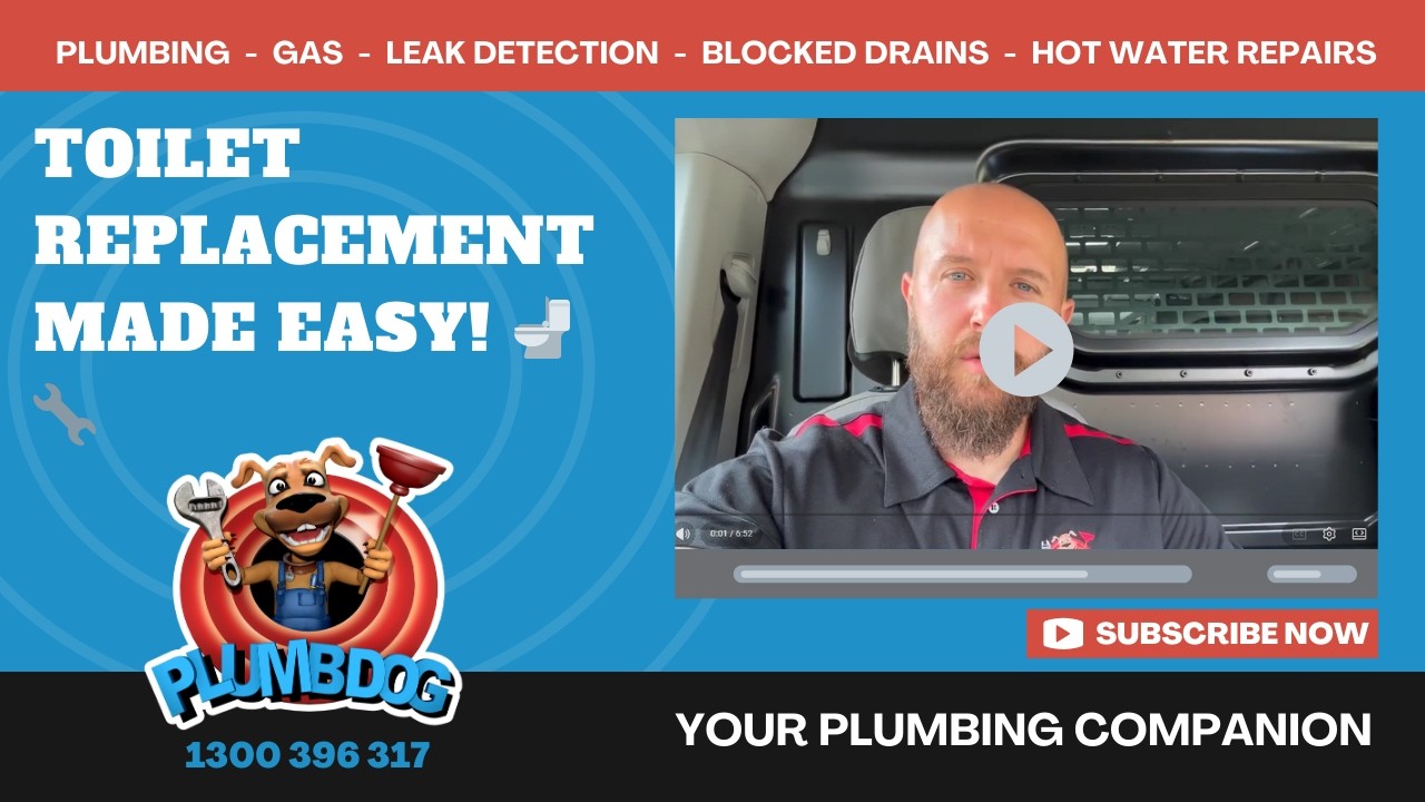 Toilet Replacement & Tap Service – Full Walkthrough & Tips!