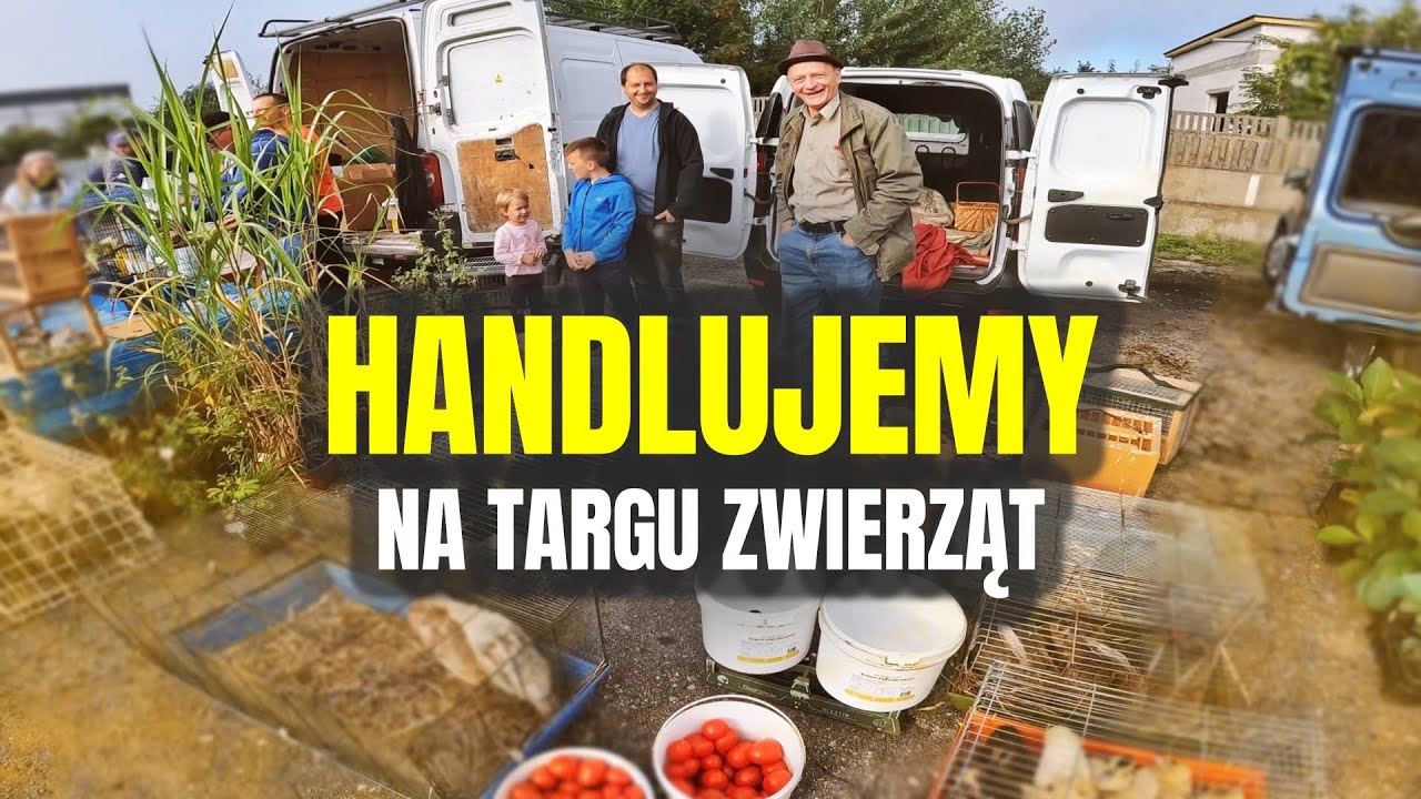🐓 HANDLUJEMY NA TARGU ZWIERZĄT 🐓 fajny dzień z Panem Józkiem ! MOJE MINI ZOO / odc. 731
