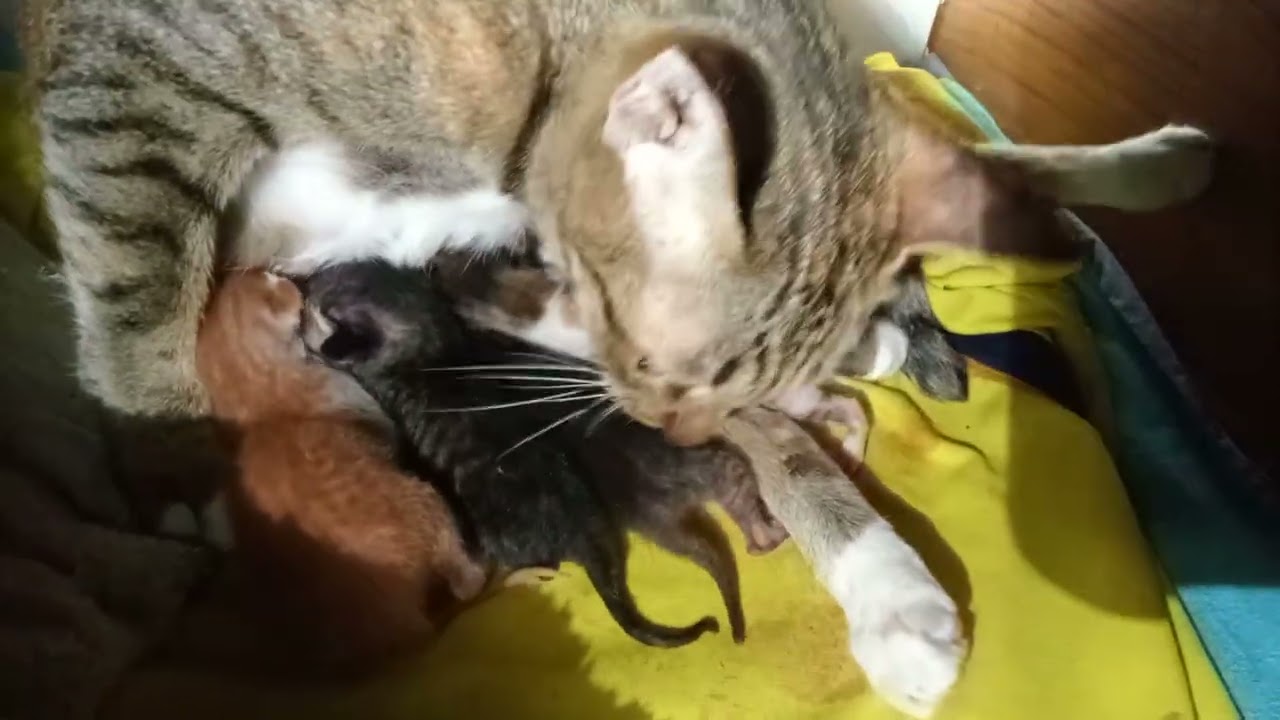 วันที่ 2 ของเด็กๆ ค่ะ