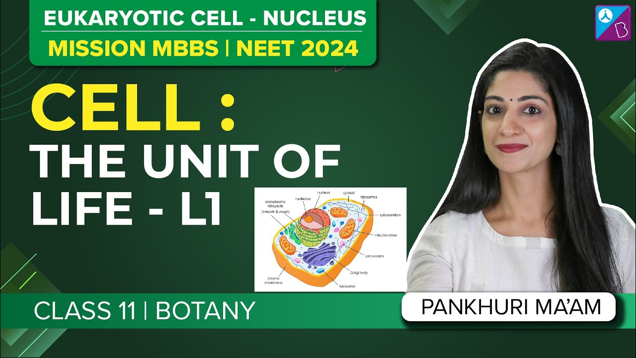 Eukaryotic Cell (Nucleus) Class 11 Biology - Cell The Unit Of Life Concepts (L1) | NEET 2024 Biology