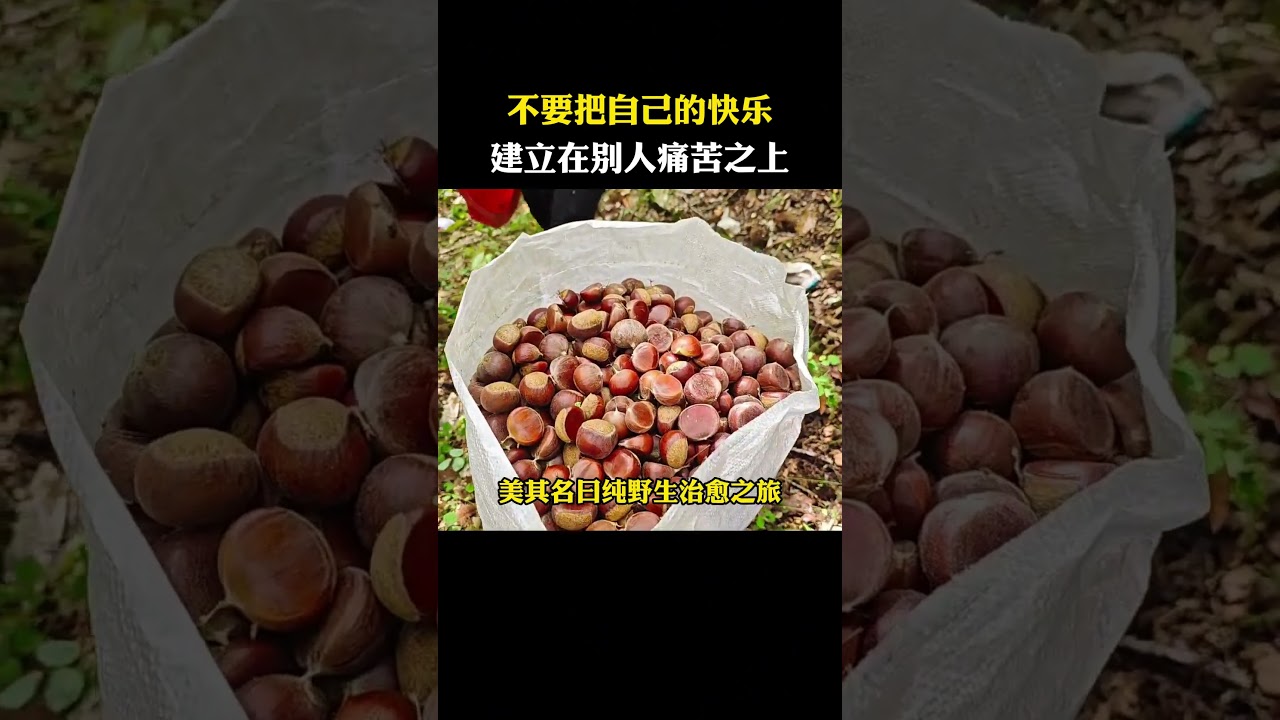 做文明遊客，不要把自己的快樂建立在別人的痛苦之上#水稻  #稻田  #遊客  #農民
