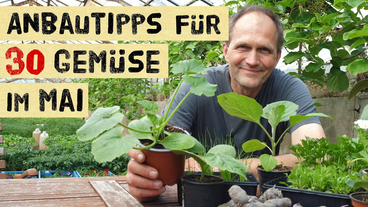 30 Pflanzen die du im Mai pflanzen und aussäen kannst - Anbautipps vom Gärtner - richtig Düngen