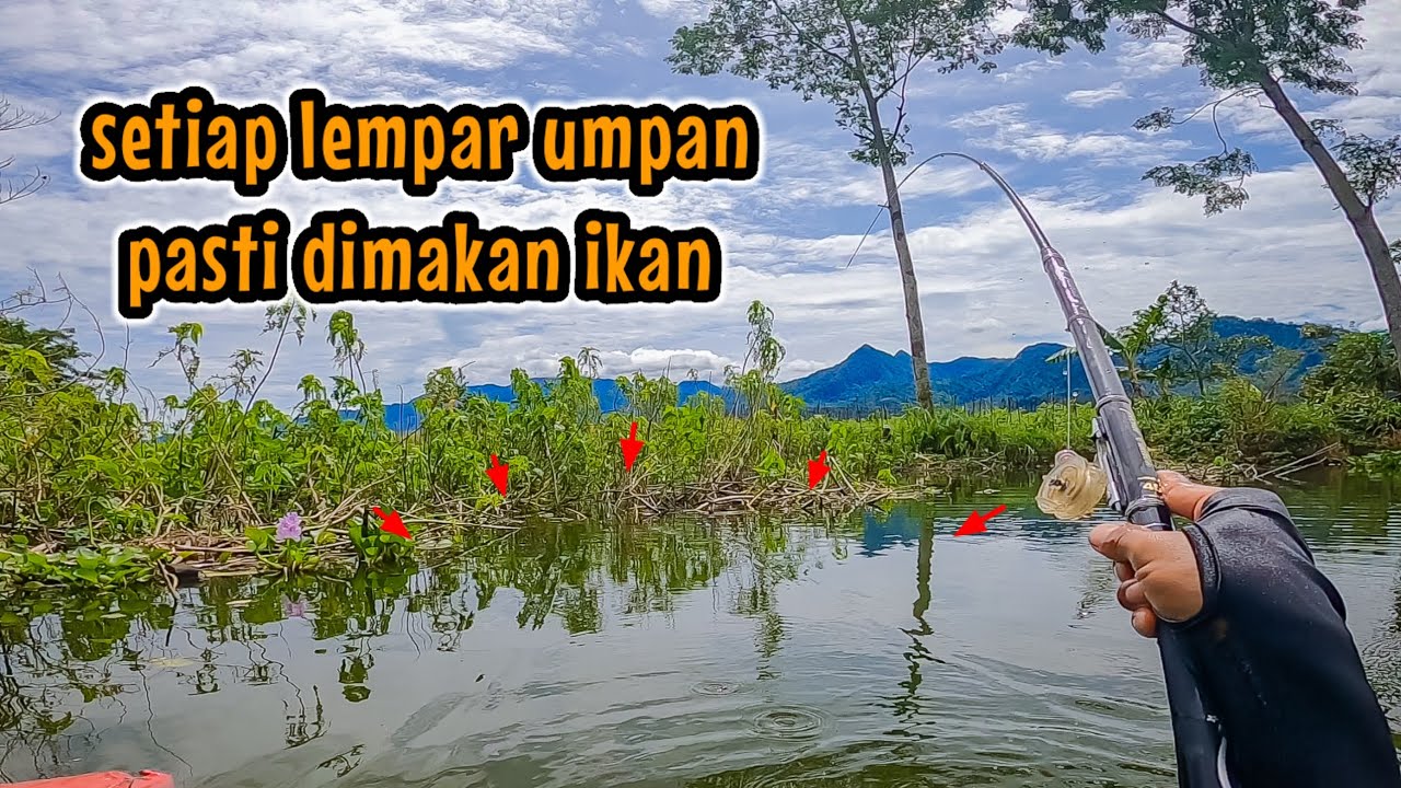 GILA‼️ BANYAK IKAN KELAPARAN DI SINI  || mancing ikan nila di waduk selorejo Ngantang