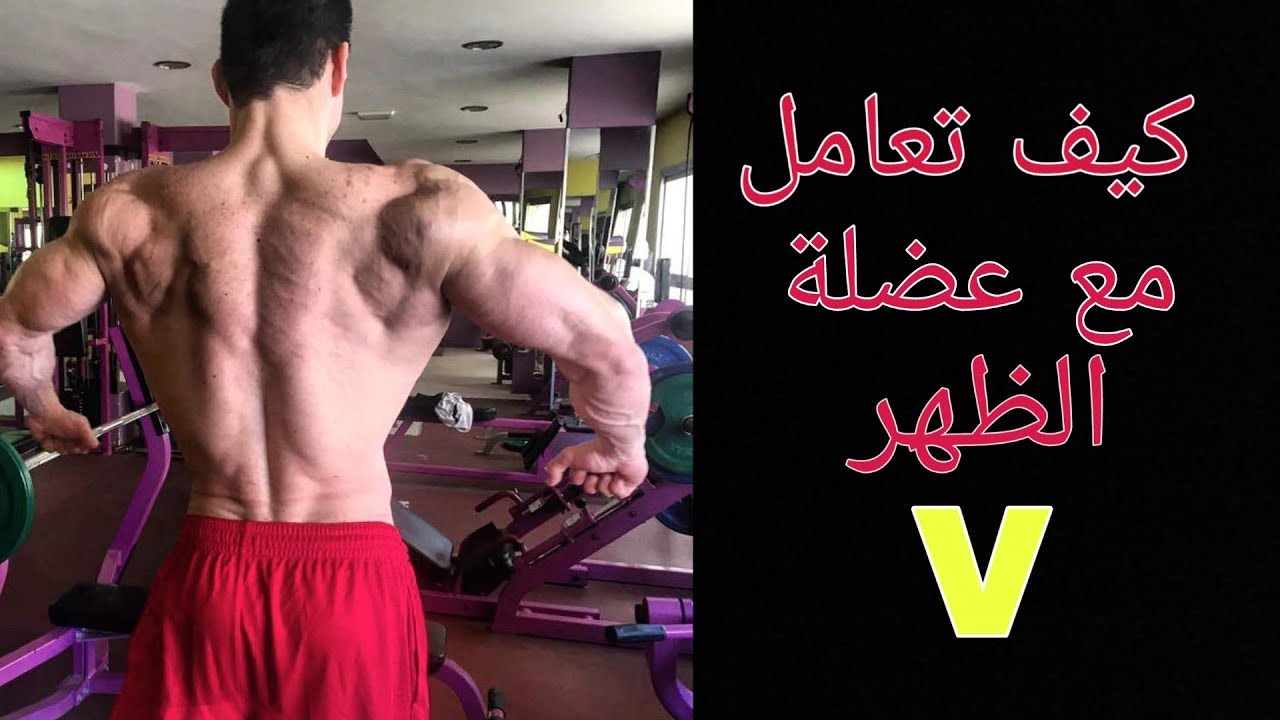 المكملات كذبة ؟ كيف تمرن ظهرك باش ترجعو v | أهم التمارين مع التشريح