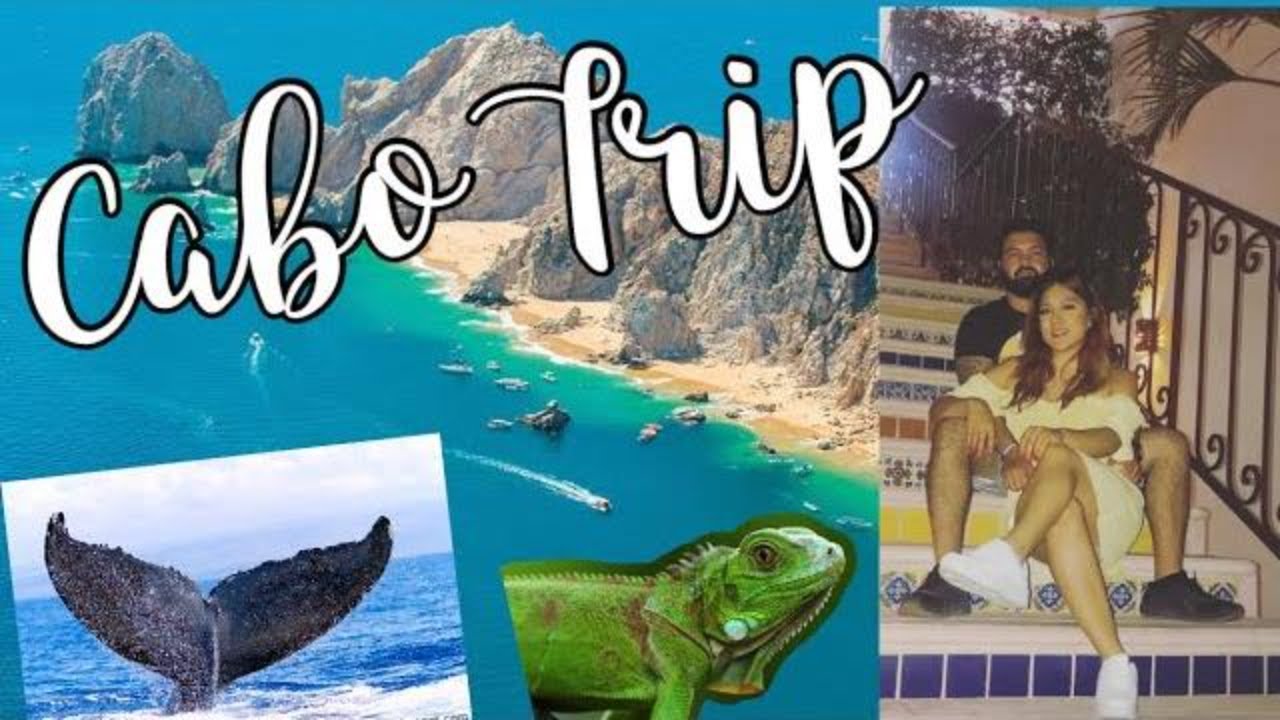 We went to Cabo San Lucas in the Winter | Whale Watching + **We Stayed in the Best Resort in Cabo**