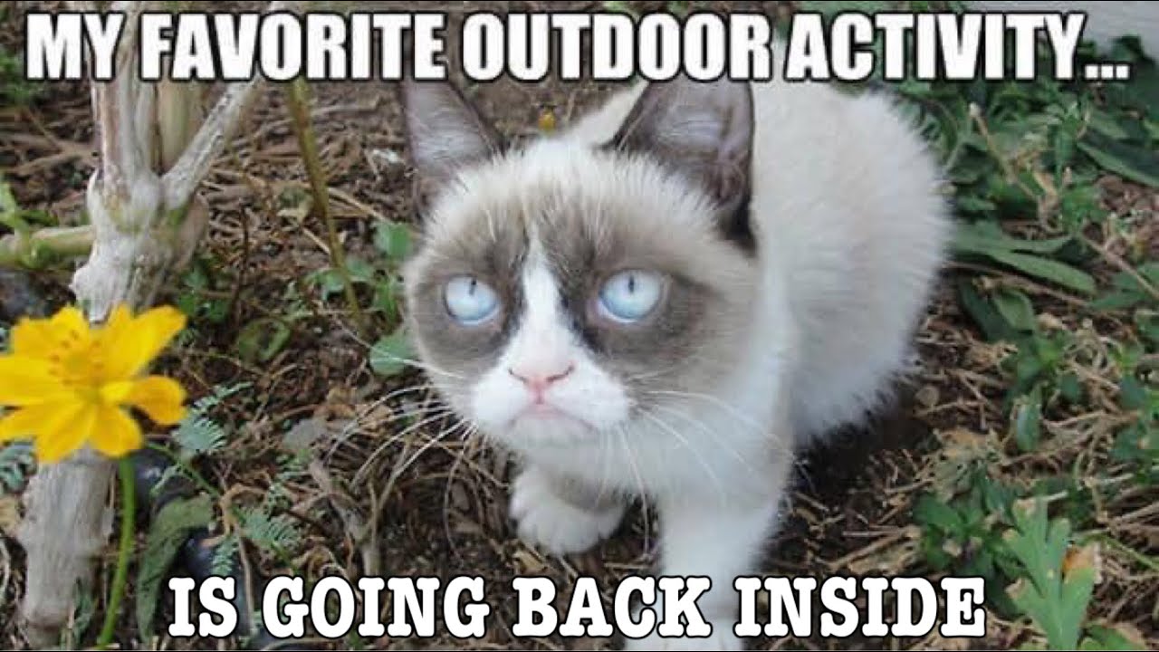 MEMES TO WATCH DURING QUARANTINE #38